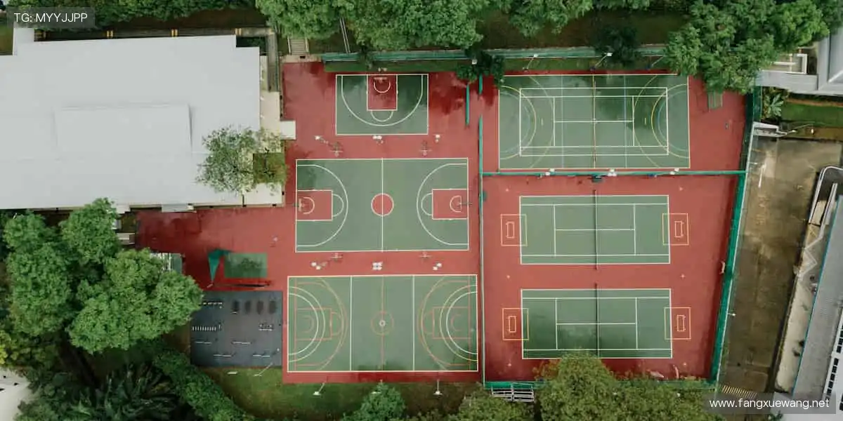 🚀与全球球迷同频,赛事官网点燃你的运动 DNA!